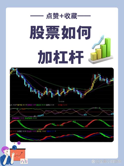 融资融券杠杆比例_股票加杠杆解释_股票杠杆怎么收费