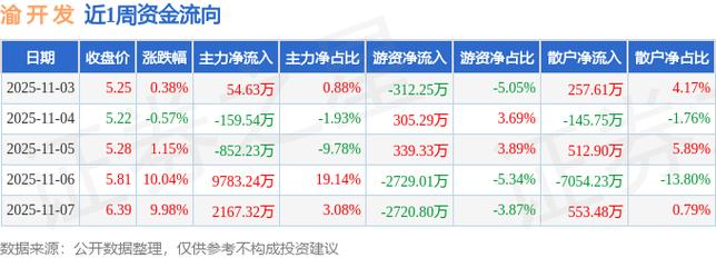 重庆渝开发资金分析及公司简介，含主力持仓与技术面解读