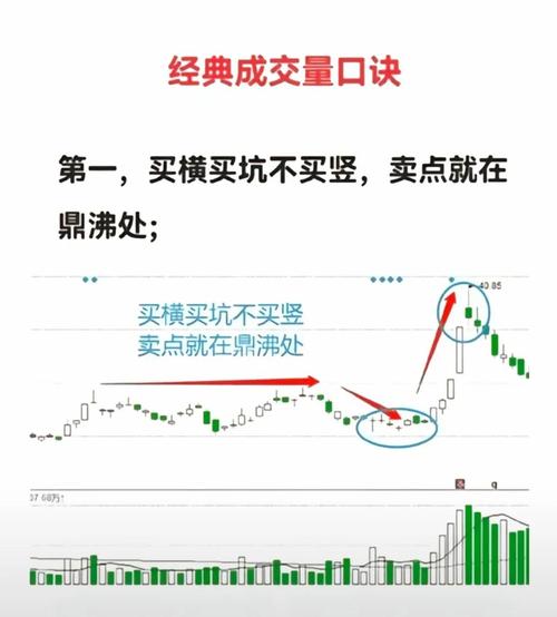 新手炒股必备！股票交易规则全解析，避开交易时间大坑