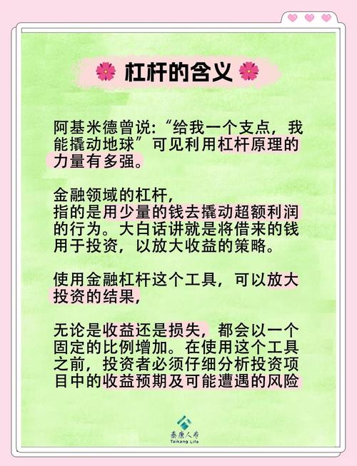 杠杆原理股市_股票杠杆原理_杠杆在股市什么意思