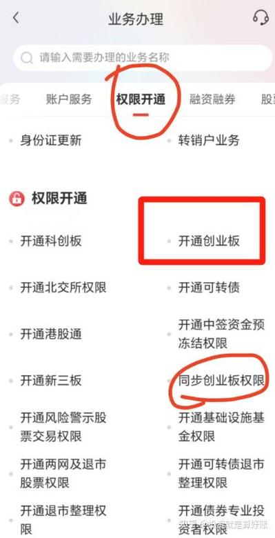 股票杠杆炒股开通条件及手续全解析，在哪申请看这里